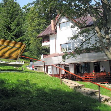 Vila Carina Pârâul Rece Buitenkant foto