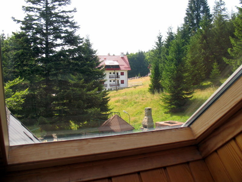Vila Carina Pârâul Rece Buitenkant foto